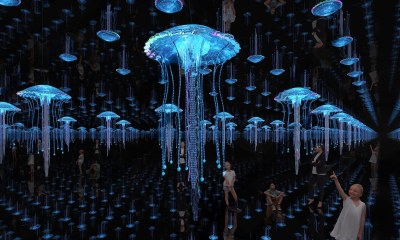 现代海洋生物展厅3D模型下载